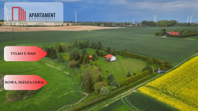 działka z warunkami zabudowy 14 ha - powiat sztumski  -
Pomorskie Zdjęcie nr 4