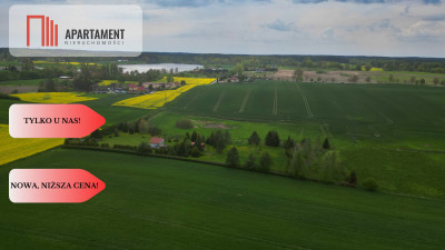 działka z warunkami zabudowy 14 ha - powiat sztumski  -
Pomorskie Zdjęcie nr 5