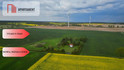 działka z warunkami zabudowy 14 ha - powiat sztumski  -
Pomorskie Zdjęcie nr 7