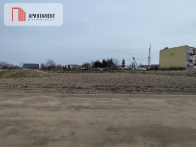Działka z miejscowym planem - powiat sępoleński  -
Kujawsko-Pomorskie Zdjęcie nr 4