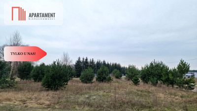 Działka  z projektem domu ok Szubina - powiat nakielski  -
Kujawsko-Pomorskie Zdjęcie nr 8