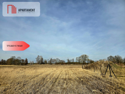  Działki w spokojnej okolicy z warunkami zabudowy - powiat nakielski  -
Kujawsko-Pomorskie Zdjęcie nr 8