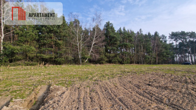 Działki nad jeziorem Wolskim - powiat żniński  -
Kujawsko-Pomorskie Zdjęcie nr 3