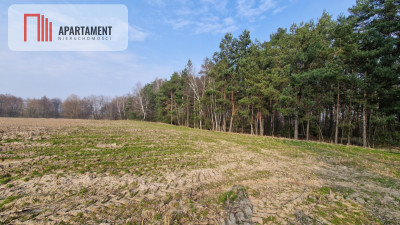 Działki nad jeziorem Wolskim - powiat żniński  -
Kujawsko-Pomorskie Zdjęcie nr 4