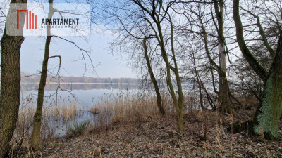 Działki nad jeziorem Wolskim - powiat żniński  -
Kujawsko-Pomorskie Zdjęcie nr 6