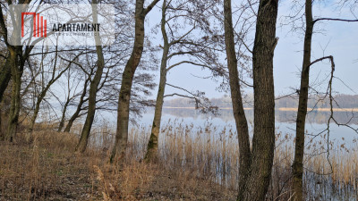Działki nad jeziorem Wolskim - powiat żniński  -
Kujawsko-Pomorskie Zdjęcie nr 7