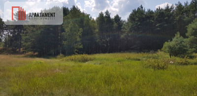 Działki z MPZP - 10 min od Bydgoszczy - powiat bydgoski  -
Kujawsko-Pomorskie Zdjęcie nr 3