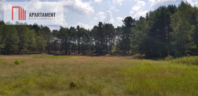 Działki z MPZP - 10 min od Bydgoszczy - powiat bydgoski  -
Kujawsko-Pomorskie Zdjęcie nr 4