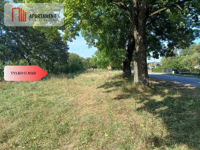 Tylko u Nas Działka usługowo-mieszkaniowa - powiat nowomiejski  -
Warmińsko-Mazurskie Zdjęcie nr 2