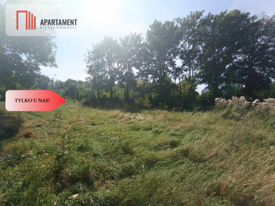 Tylko u Nas Działka usługowo-mieszkaniowa - powiat nowomiejski  -
Warmińsko-Mazurskie Zdjęcie nr 4