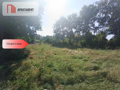 Tylko u Nas Działka usługowo-mieszkaniowa - powiat nowomiejski  -
Warmińsko-Mazurskie Zdjęcie nr 7