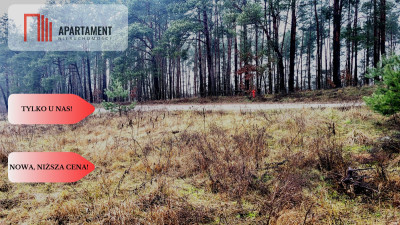 Duża narożna działka z prądem las jezioro - powiat bydgoski  - Kujawsko-Pomorskie