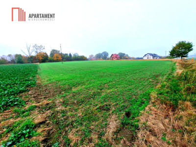 Działka z WZ zaledwie 4 km od Człuchowa - powiat człuchowski  -
Pomorskie Zdjęcie nr 4
