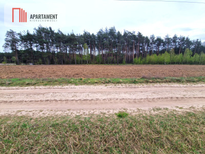 Duża działka w otulinie lasów - powiat chojnicki  -
Pomorskie Zdjęcie nr 2