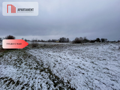 Tylko u nas Działka budowlana-1000m2-asflat - powiat bydgoski  -
Kujawsko-Pomorskie Zdjęcie nr 6