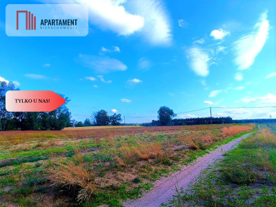 ZŁAWIEŚ MAŁA 1002m2 CISZA SPOKÓJ SUPER LOKALIZACJA - powiat toruński  -
Kujawsko-Pomorskie Zdjęcie nr 11