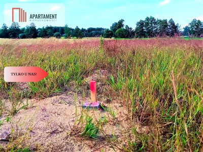 ZŁAWIEŚ MAŁA 1002m2 CISZA SPOKÓJ SUPER LOKALIZACJA - powiat toruński  -
Kujawsko-Pomorskie Zdjęcie nr 12