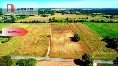 ZŁAWIEŚ MAŁA 1002m2 CISZA SPOKÓJ SUPER LOKALIZACJA - powiat toruński  -
Kujawsko-Pomorskie Zdjęcie nr 2