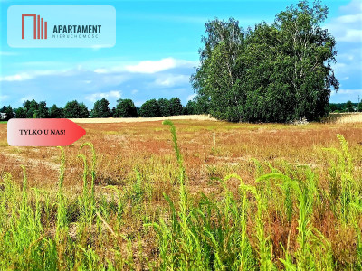 ZŁAWIEŚ MAŁA 1002m2 CISZA SPOKÓJ SUPER LOKALIZACJA - powiat toruński  -
Kujawsko-Pomorskie Zdjęcie nr 8