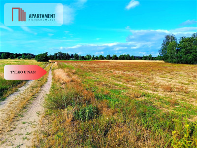 ZŁAWIEŚ MAŁA 1002m2 CISZA SPOKÓJ SUPER LOKALIZACJA - powiat toruński  -
Kujawsko-Pomorskie Zdjęcie nr 9