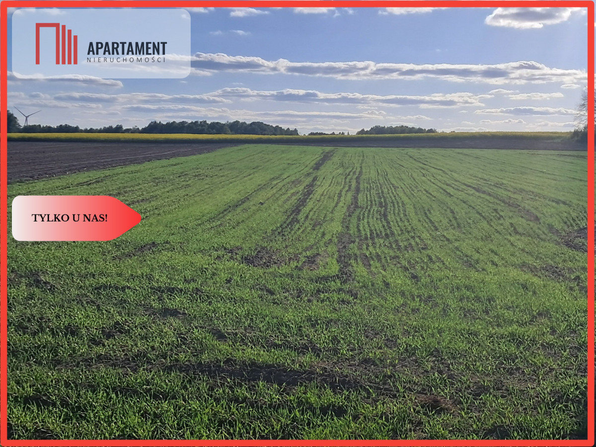 Inwestycja gmina Łobżenica - powiat pilski  -
Wielkopolskie Zdjęcie nr 1