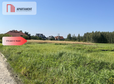 Wilkszyn 252 złm2 1997m2 Prąd Woda i Gaz - powiat średzki  -
Dolnośląskie Zdjęcie nr 7