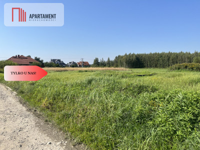 Wilkszyn 252 złm2 1997m2 Prąd Woda i Gaz - powiat średzki  -
Dolnośląskie Zdjęcie nr 8