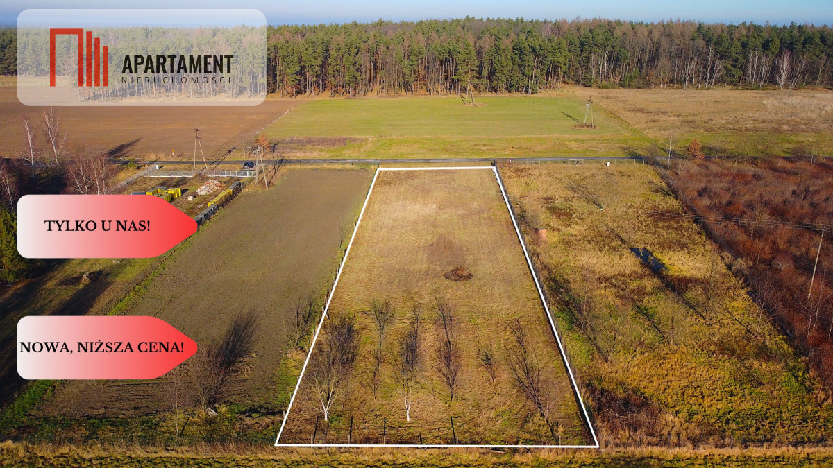Zawonia ul Topolowa 3000 m2 W pobliżu lasu - powiat trzebnicki  -
Dolnośląskie Zdjęcie nr 1