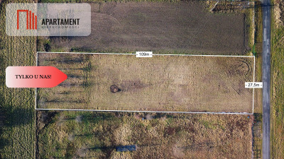 Zawonia ul Topolowa 3000 m2 W pobliżu lasu - powiat trzebnicki  -
Dolnośląskie Zdjęcie nr 4