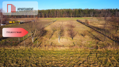 Zawonia ul Topolowa 3000 m2 W pobliżu lasu - powiat trzebnicki  -
Dolnośląskie Zdjęcie nr 5