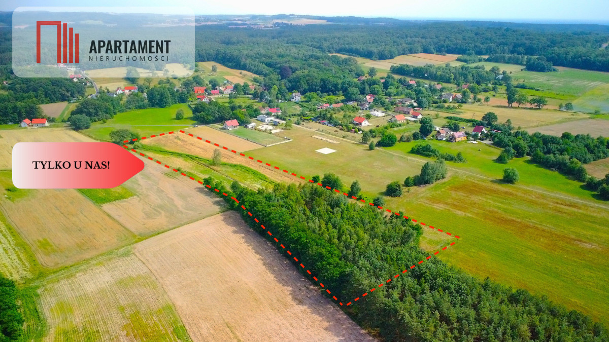 40 min do Wrocławiak Obornik Śląskich 90złm2 - powiat trzebnicki  -
Dolnośląskie Zdjęcie nr 1