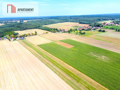 Działki pod Miliczem 12 ar Woda Prąd Kanaliza - powiat milicki  -
Dolnośląskie Zdjęcie nr 4