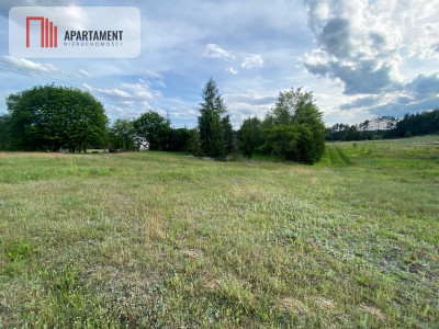 Ciesz się spokojem i pięknem natury - powiat kościerski  -
Pomorskie Zdjęcie nr 5