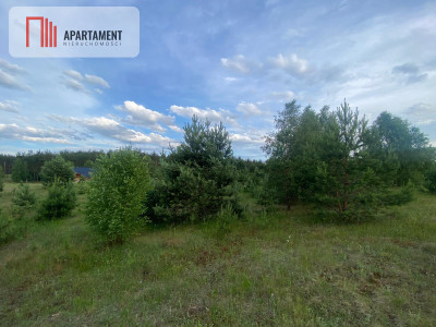 Urokliwa Działka na sprzedaż- Twoje Miejsce na Dom - powiat kościerski  -
Pomorskie