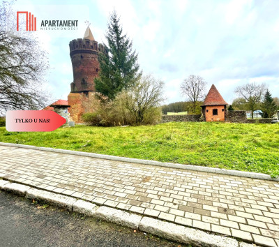 Działka z warunkami zabudowy - powiat choszczeński  -
Zachodniopomorskie Zdjęcie nr 4