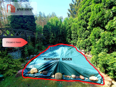Rod Wudzyn z basenem i urokliwą ścianą lasu - powiat bydgoski  -
Kujawsko-Pomorskie Zdjęcie nr 8