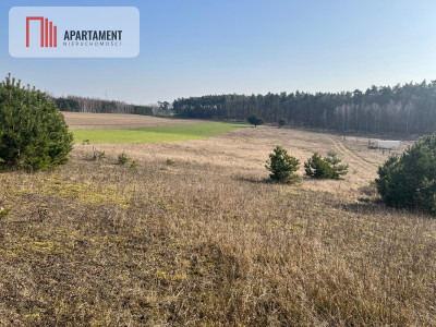 Działka budowlana w Oporówku - powiat żniński  -
Kujawsko-Pomorskie