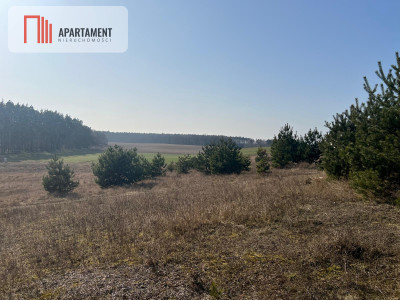 Działka budowlana w Oporówku - powiat żniński  -
Kujawsko-Pomorskie Zdjęcie nr 3