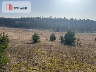 Działka budowlana w Oporówku - powiat żniński  -
Kujawsko-Pomorskie Zdjęcie nr 4
