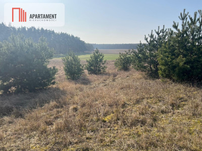 Działka budowlana w Oporówku - powiat żniński  -
Kujawsko-Pomorskie Zdjęcie nr 6