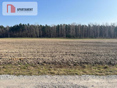 Działka budowlana w Ojrzanowie - powiat żniński  -
Kujawsko-Pomorskie