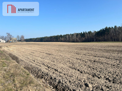 Działka budowlana w Ojrzanowie - powiat żniński  -
Kujawsko-Pomorskie Zdjęcie nr 2