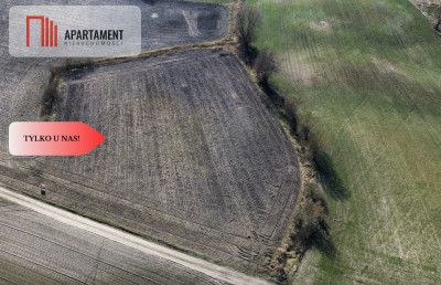Tylko u nasBudowlana działka na łonie natury Bory - powiat świecki  -
Kujawsko-Pomorskie Zdjęcie nr 5