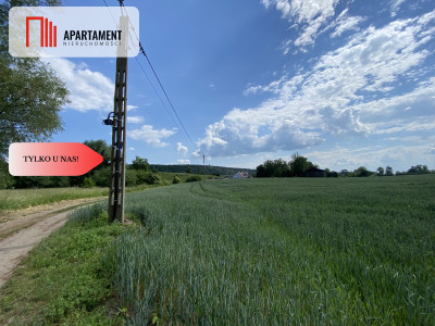 4 działki Budowlane obok siebie Pogorzała Wieś - powiat malborski  -
Pomorskie Zdjęcie nr 9