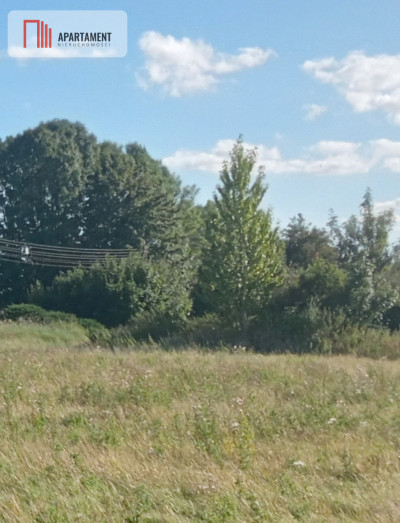 Działka inwestycyjna na sprzedaż - powiat tczewski  -
Pomorskie Zdjęcie nr 3