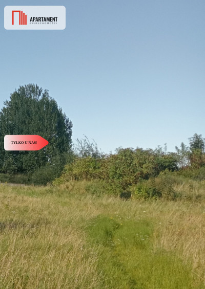 Działka inwestycyjna na sprzedaż - powiat tczewski  -
Pomorskie Zdjęcie nr 5