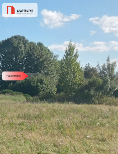 Działka inwestycyjna na sprzedaż - powiat tczewski  -
Pomorskie Zdjęcie nr 6