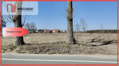 Zmiana Ceny  działka budowlana z widokiem na las - powiat chodzieski  -
Wielkopolskie Zdjęcie nr 2