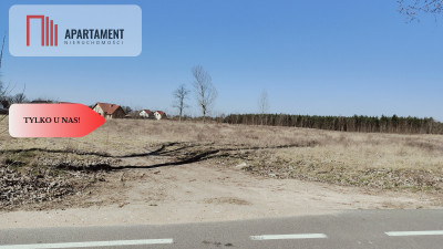 Zmiana Ceny  działka budowlana z widokiem na las - powiat chodzieski  -
Wielkopolskie Zdjęcie nr 3