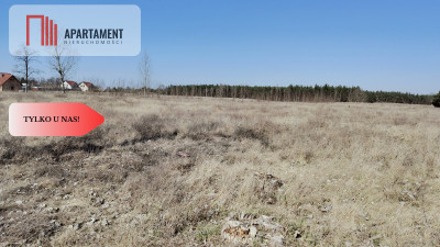 Zmiana Ceny  działka budowlana z widokiem na las - powiat chodzieski  -
Wielkopolskie Zdjęcie nr 4